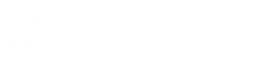 Zeloura Skin